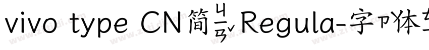 vivo type CN简 Regula字体转换